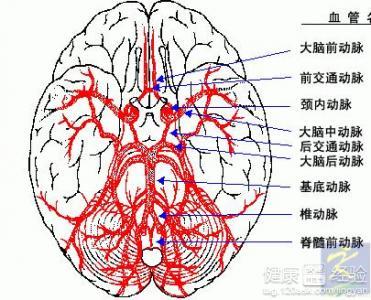 脑供血不足怎么治疗 脑供血不足怎么治疗 脑供血不足怎么办