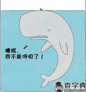 梦幻西游真好玩段子 经典段子 说得真好!