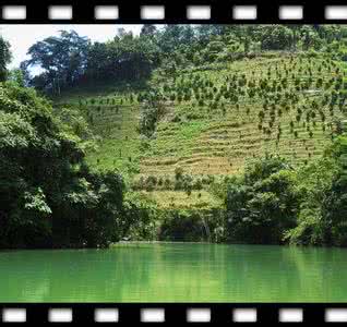 云南师宗凤凰谷 云南曲靖师宗“凤凰谷”风景