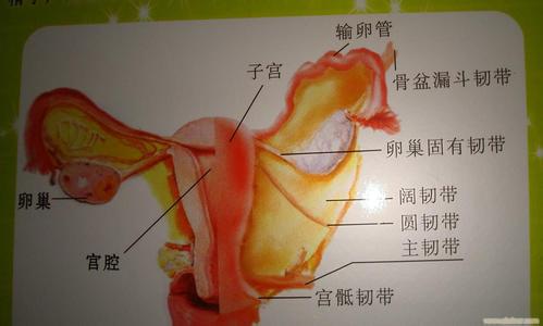 宫颈癌患者吃什么好 她才10岁，已不是处女，并患宫颈癌.......家里有孩子的一定要注意！