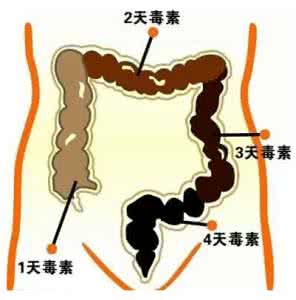 盐水排宿便排毒 盐水排宿便排毒 5种食物给你肠胃添动力 轻松排毒清宿便