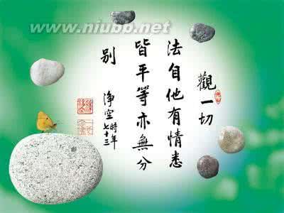 佛心禅语悟人生 禅语感悟人生的句子，佛心禅语悟人生，一句禅语一种人生-今日头条