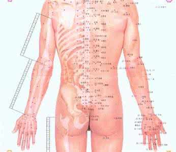 人体穴位大全图解