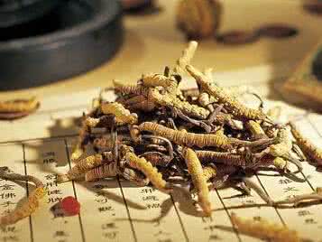 治疗胃癌的民间偏方 胃癌偏方!!