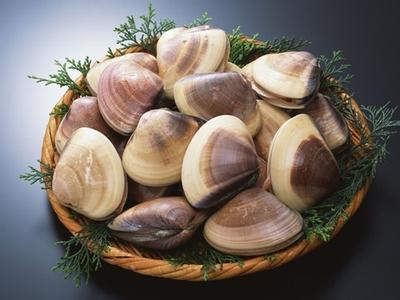 吃什么能壮阳增长增大 吃什么能壮阳