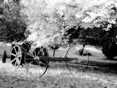 不思议迷宫遗落的圣坛 追寻遗落的秋光