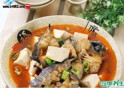 海鲶鱼炖豆腐的做法 鲶鱼炖豆腐 海鲶鱼炖豆腐的做法,海鲶鱼炖豆腐怎么做好吃,海鲶鱼炖豆腐的家常做法