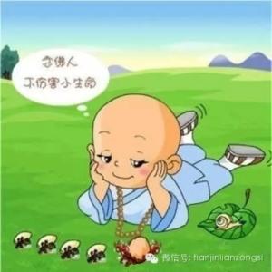 佛学智慧人生哲理 【佛学 - 人，争什么呢】