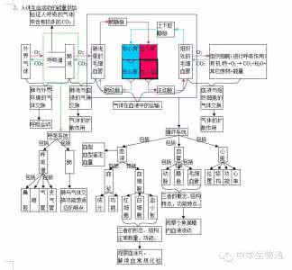 初中生物概念图 初中生物概念图 初中生物概念图，绝对实用，快收藏吧！