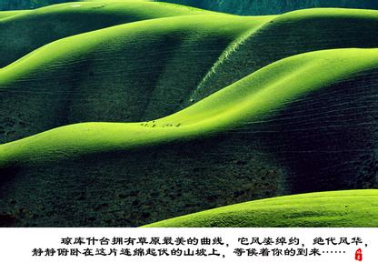 人的记忆曲线 记忆中最美的曲线