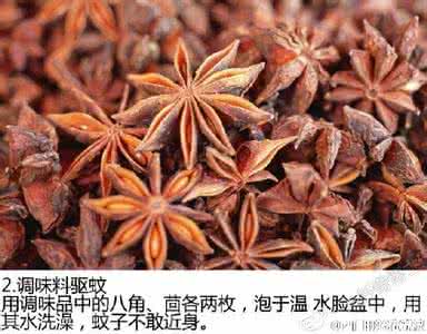 慢阻肺民间偏方 民间高手最实用最简易的9个驱蚊偏方 | 千趣