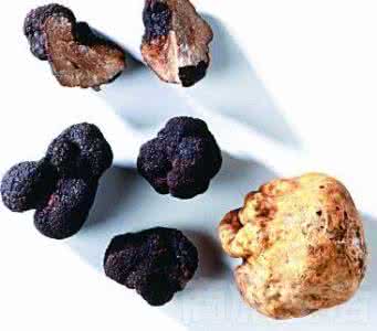 酒店食材配送公司 催情食材配酒指南