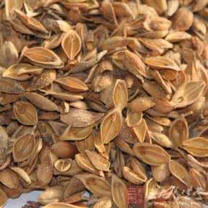 民间中医治疗甲亢绝招 中医对各种甲亢的偏方治疗