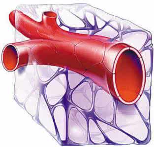 高血压血管堵塞 高血压血管堵塞 煮玉米时少做两件事，竟能清血管、稳血压！