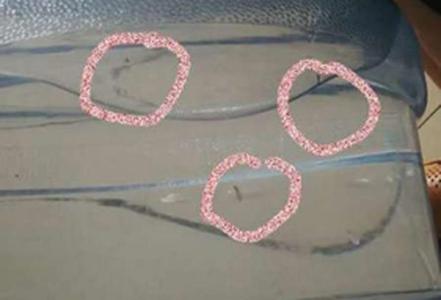 桶装水水桶回收 临沂桶装水喝出苍蝇 厂家称回收水桶没洗干净