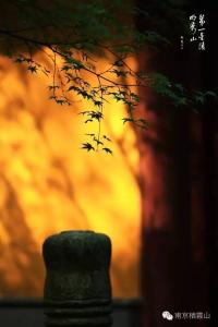 禅意人生 落花菩提 【 禅意 & 菩提 】仓央嘉措---问佛