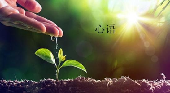 父母的爱抒情散文 【抒情散文】爱需要放在心里