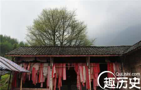 神秘博士三大未解之谜 未解之谜 失落在大山中的神秘沙陀国