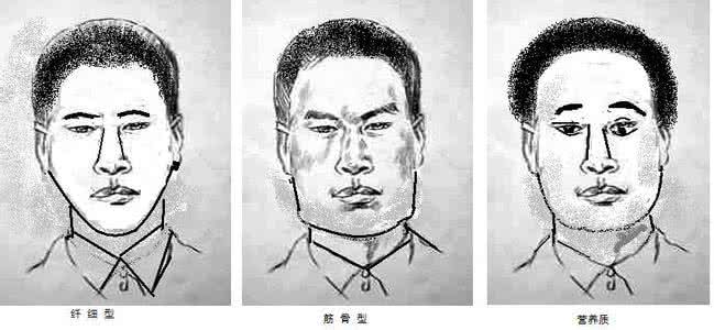 面相脸型图解大全 面相脸型