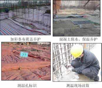 混凝土养护要点与方法 混凝土养护要点与方法 虎刺梅的养护方法及要点