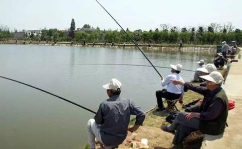 采摘松花粉技巧有讲究 【江湖钓技】垂钓有讲究！因温度、因气压、因地制宜！