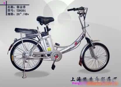 锂电池电动自行车 如何挑选电动自行车电池