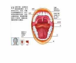 容易口腔溃疡的原因 口腔溃疡的原因 造成口疮的因素有哪些