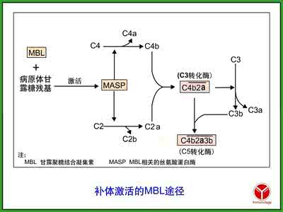 执业医师考试辅导：系统复习的做法