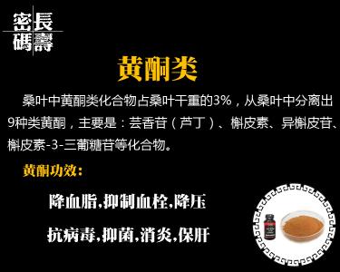 桑叶的功效与作用大全 解密桑叶的功效与作用大全