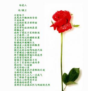 密语 说给爱人的最 给爱人的……