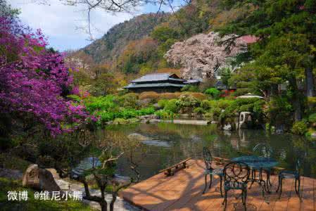 日本箱根温泉 〖日本·箱根〗体验日本最美的温泉之乡