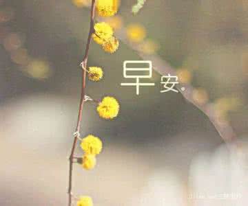 早安心语 早安心语160116：愿你在失意和不顺心时，能永远坚强