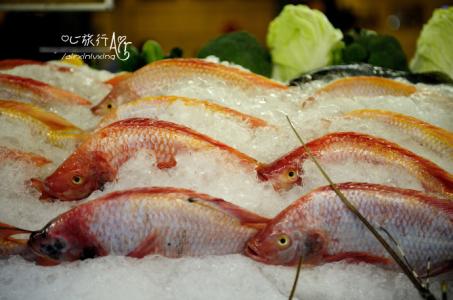 鲷鱼的做法大全 【美味海鲜】鲷鱼的做法大全