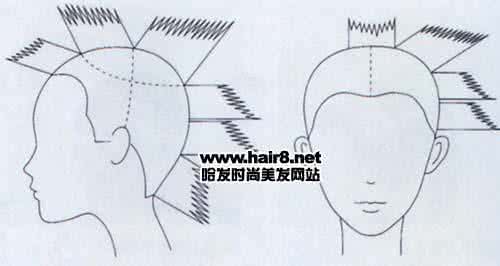 发型结构图 几款常用发型的修剪结构图