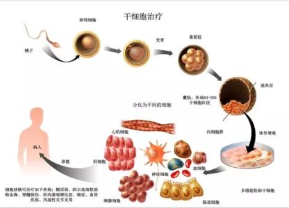 干细胞制剂制备形式 干细胞制剂制备形式 2016-干细胞制剂制备质量管理自律规范