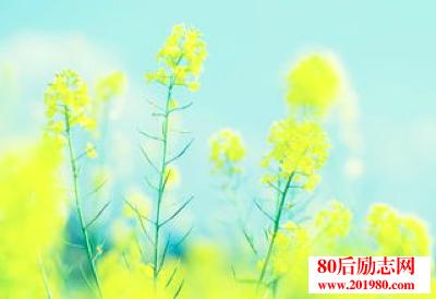 小美文大智慧 【美文 - 放下，是一種生活的智慧；選擇放下，不代表放棄，而是...看完，你會懂得更多！】