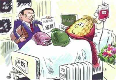 生猪保险政策 玉山县政策性保险为生猪产业系上“安全带”