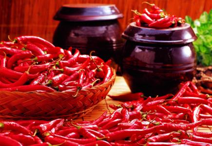 辛辣食物有哪些 为什么我们要用辛辣的食物折磨自己?