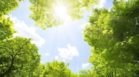 夏季为什么要养心 为什么夏季适合养心呢