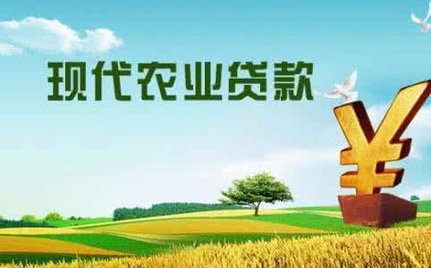 农业贷款扶持最新政策 农业贷款