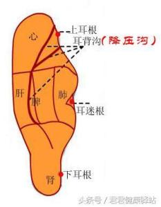 应急降压药 人体自有“应急降压穴” 