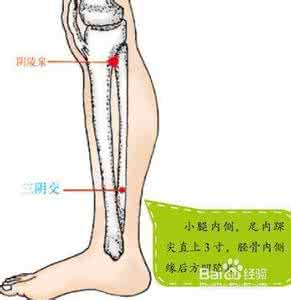 宝宝脾胃不好按摩法 脾不好按摩什么穴位？