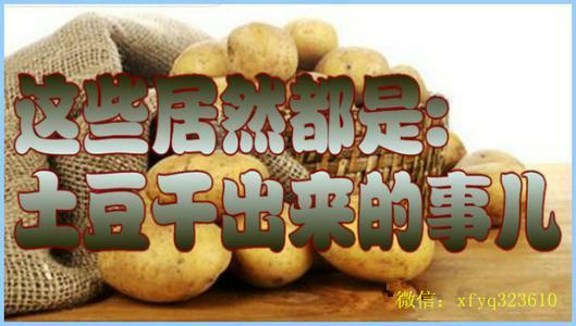 我们都是坏孩子土豆网 《震惊了，这些居然都是土豆干出来的事儿!》