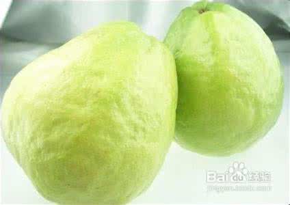 芭乐果的营养价值 芭乐的营养价值 【芭乐的营养价值】芭乐的营养价值及功效