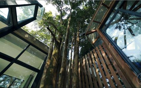 抱着棵树唱爱我别走 他建了一所可以抱着树睡觉的房子