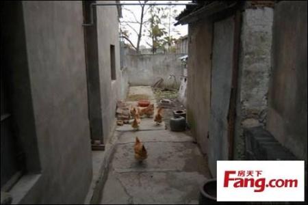 豪华别墅装修效果图 乡下一农民30万装修超豪华别墅 叹为观止(图)
