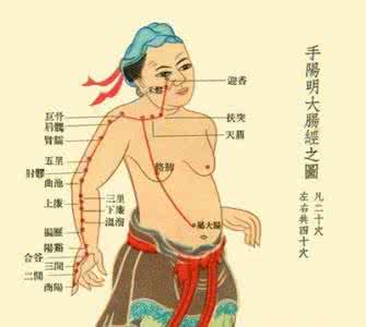 巧记十二经络尺寸歌诀 【经络养生】提高免疫力最简单的方法 巧用经络排毒养颜