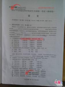 普通高校统一招生考试 2009年普通高校招生统一考试湖南卷(语文)