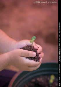 女神的终极保镖 生命的“终极保镖”你家餐桌上也有