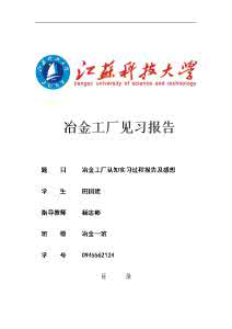 冶金专业毕业大学生实习报告